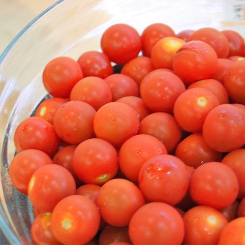 無農薬栽培ミニトマト