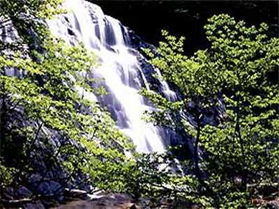 岳温泉 櫟平ホテル くぬぎだいらホテル 宿泊予約 楽天トラベル