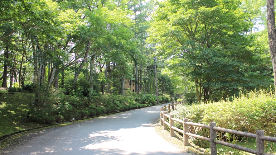 敷地内道路