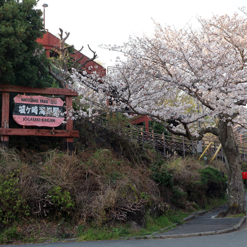 *城ヶ崎海岸駅／当館まで徒歩約15分、送迎も可能です