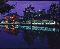 東大寺ライトアップ「写真：奈良市観光協会」