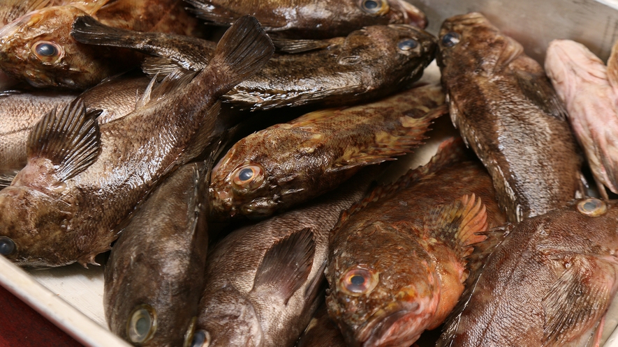 ☆太平洋と三河湾の海の恵みを四季折々の旬の味をお届け致します。