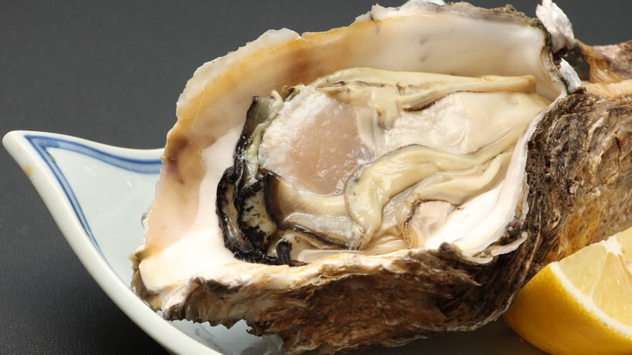 ☆夏の岩牡蠣はクセもなくミルキーな味！ぜひ渥美半島の岩牡蠣をお試しください！