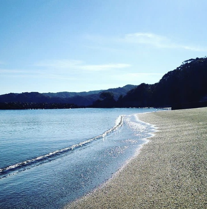 写真5
