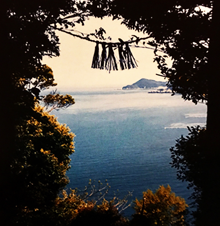 写真4