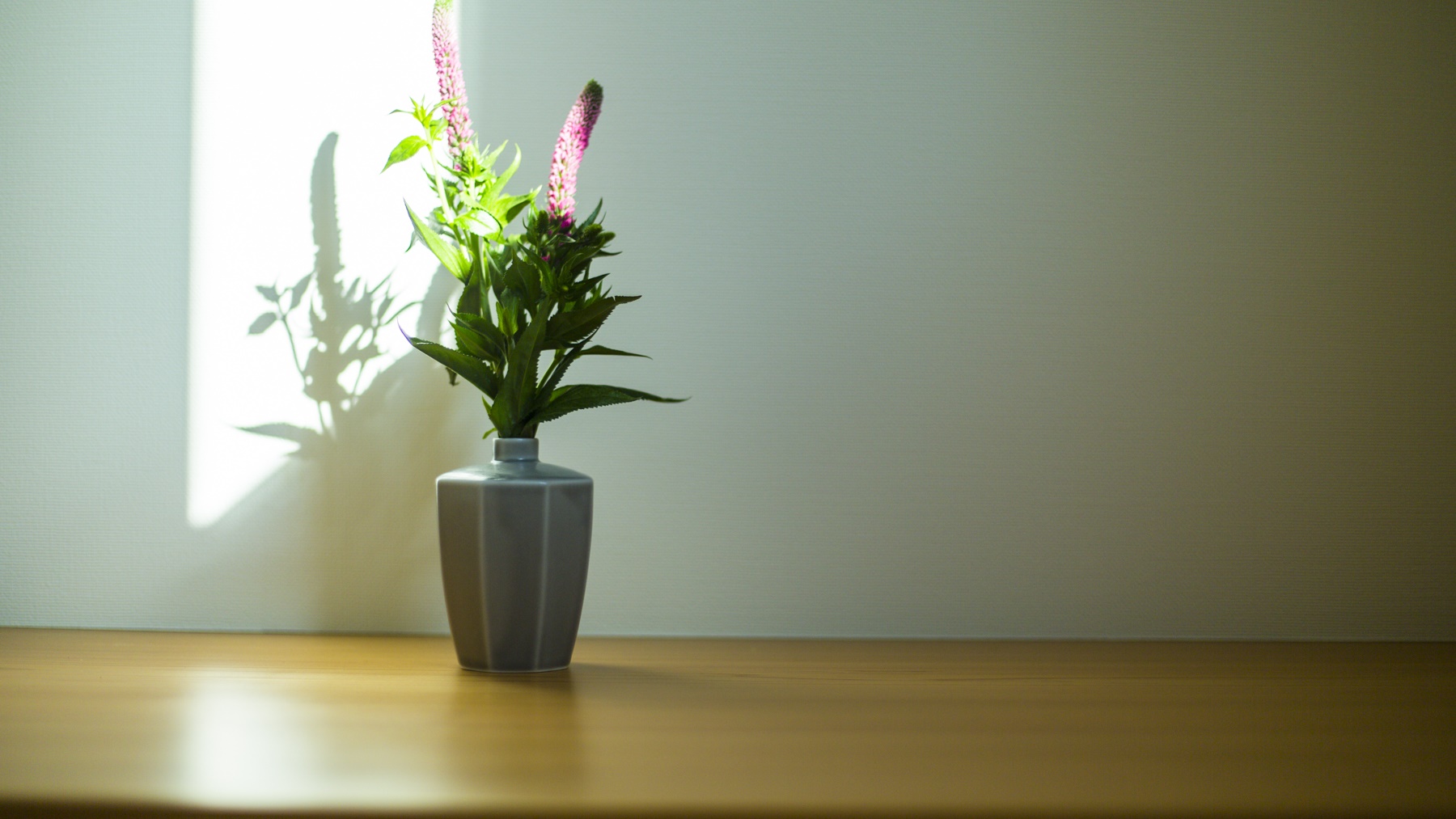 【月】客室のお花
