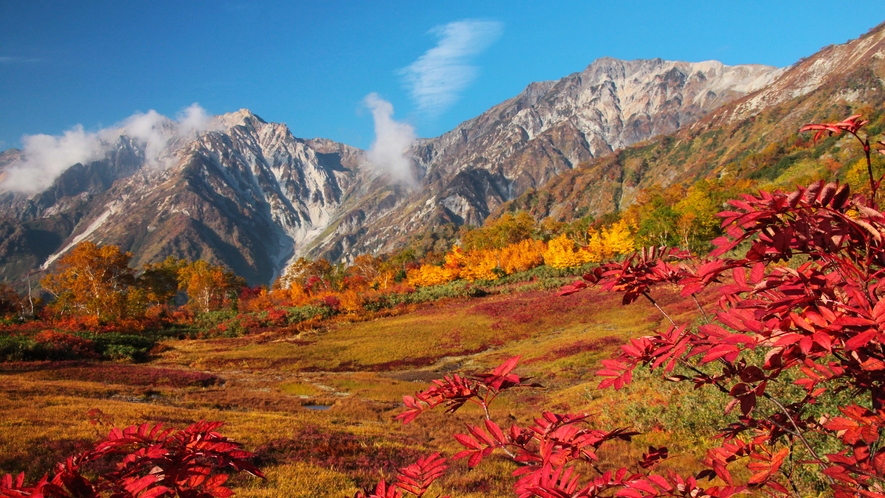 紅葉の栂池自然園