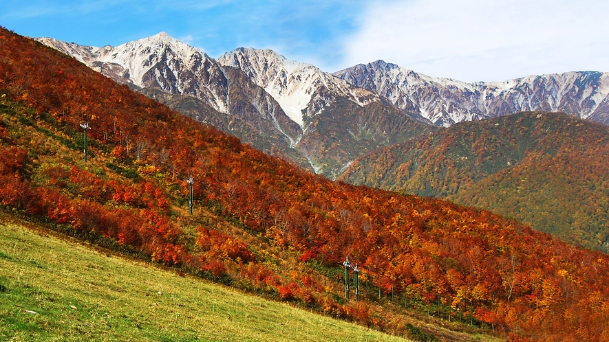 秋の白馬三山