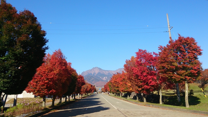 JR野辺山駅前～秋の紅葉通り～