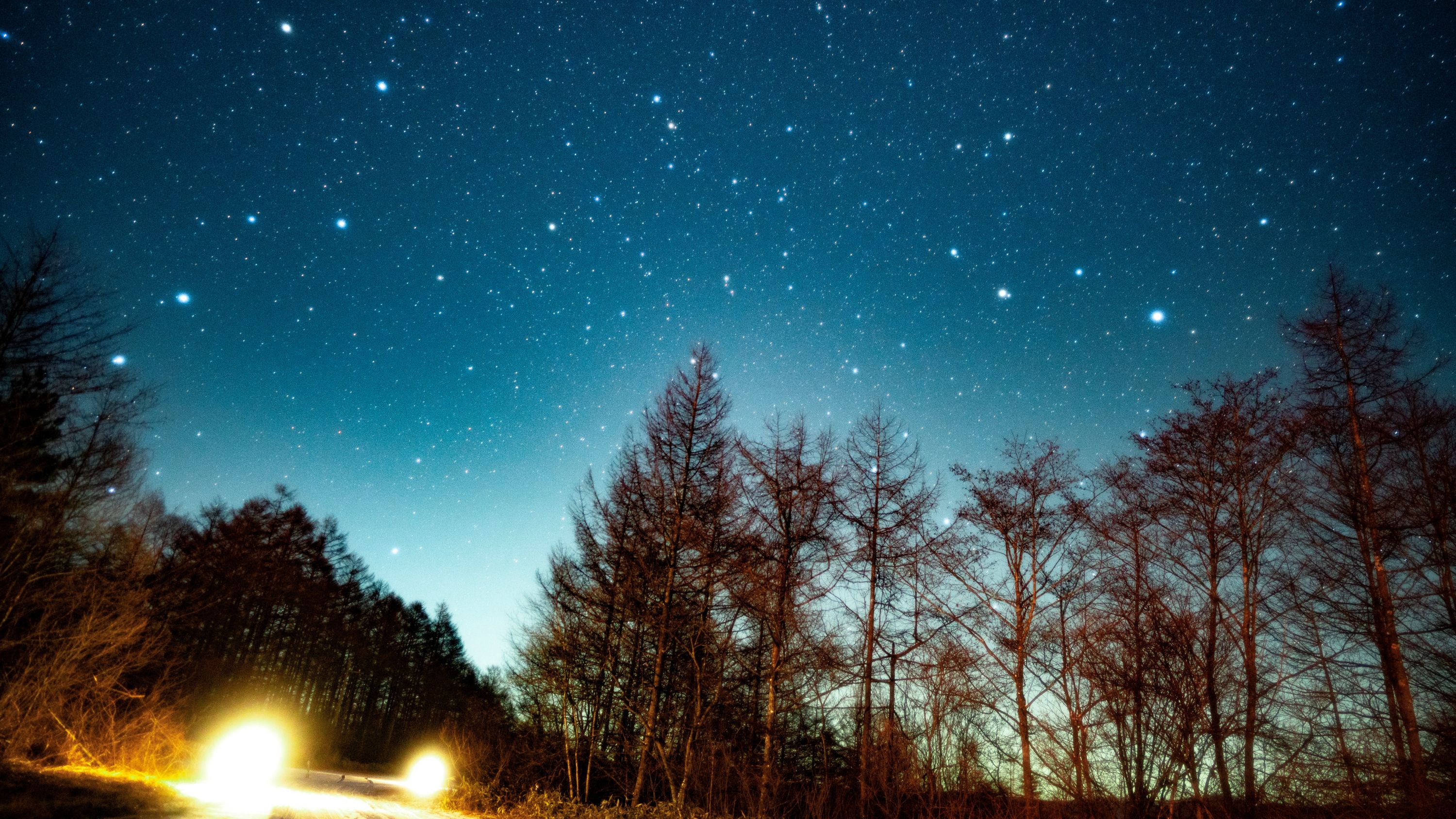 星空グラウンドまで徒歩5分