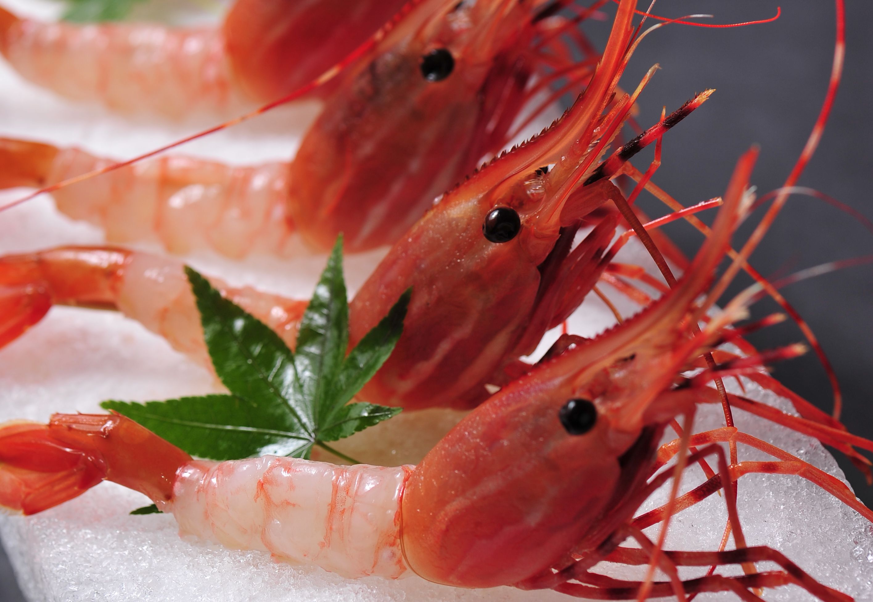 【別注料理：南蛮海老の刺身】