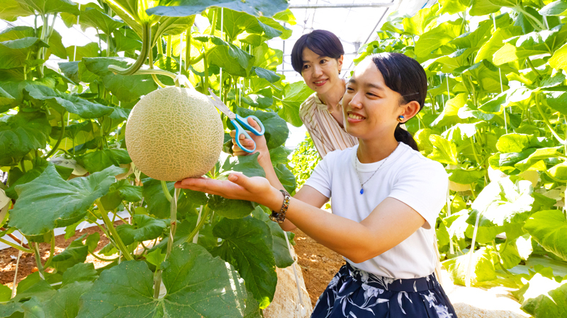 【1日10組限定】まるで夢のよう　メロン食べ放題＆収穫プラン　2025