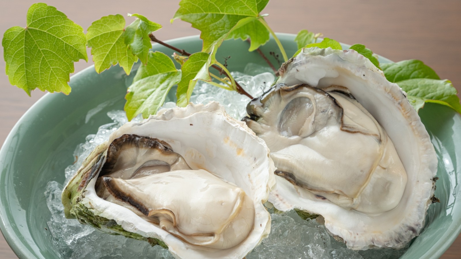 【夏限定】日本海直送「岩牡蠣」と夏野菜を味わうプラン 