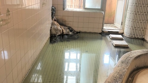 【エコプラン】客室清掃なしでお得に御宿泊！【エコプラン特典あり】【和室（バス・トイレ共同部屋）限定】