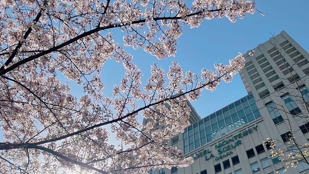 桜満開　ラ・スール大阪
