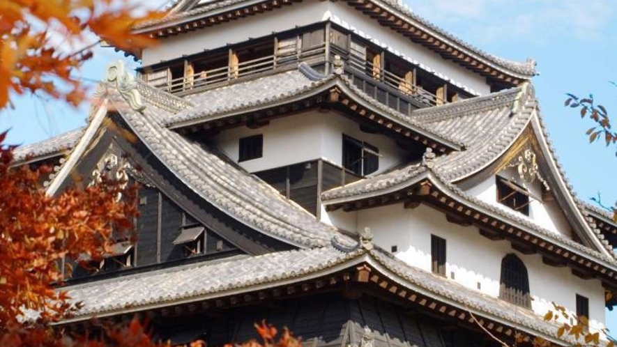 秋の松江城のイメージ