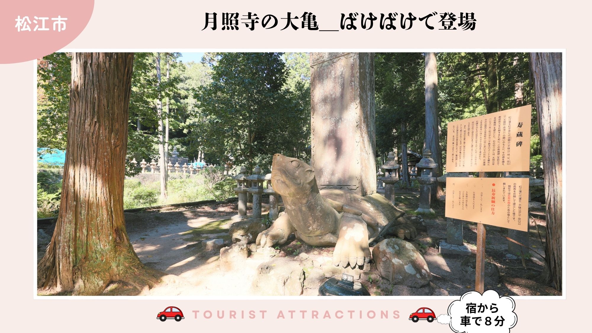 【お勧め観光スポット】「月照寺」の大亀は、ドラマばけばけで登場（車で8分）