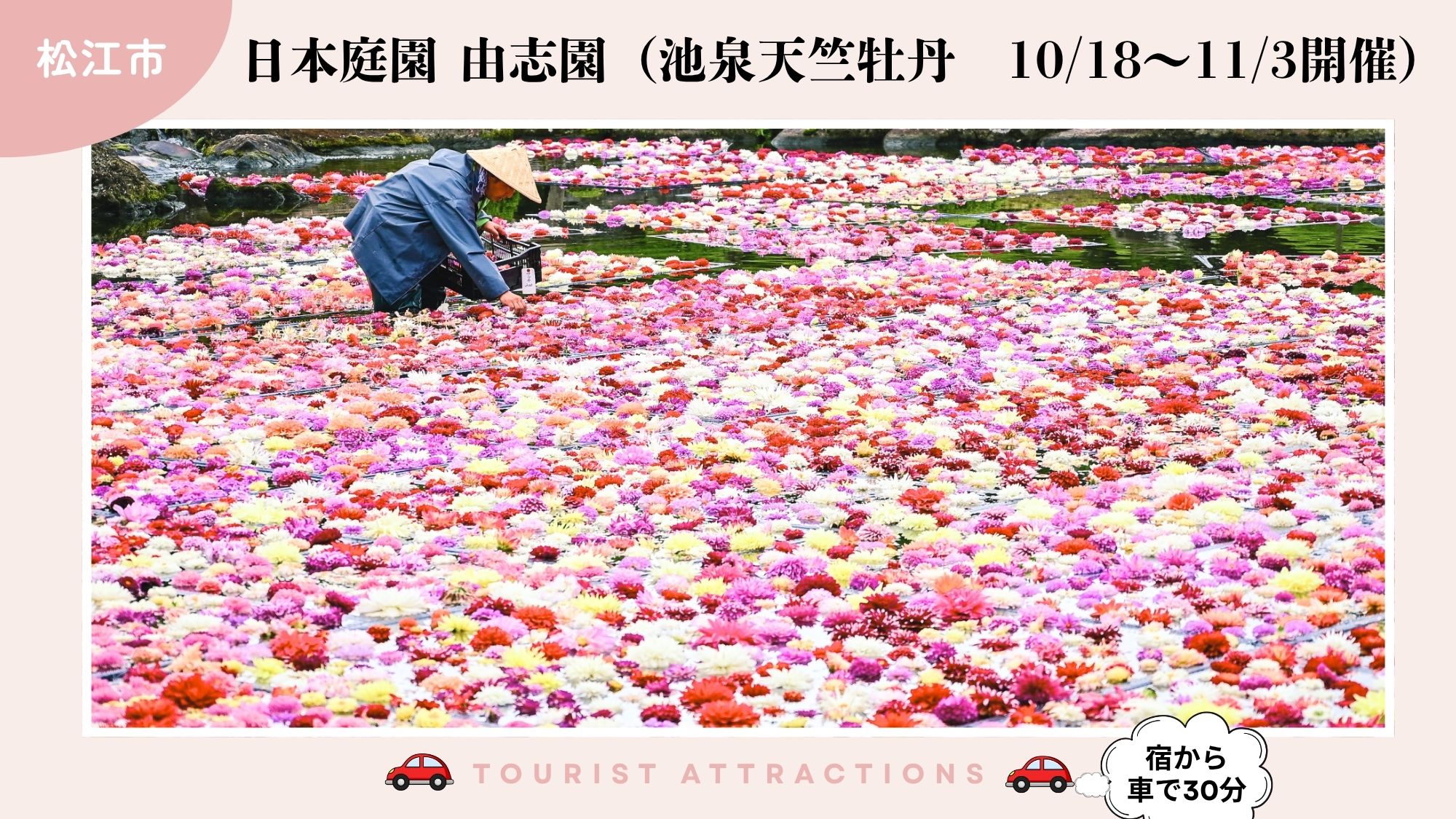 【お勧め観光スポット】「日本庭園由志園」では、10～11月に池泉天竺牡丹を堪能（車で30分）