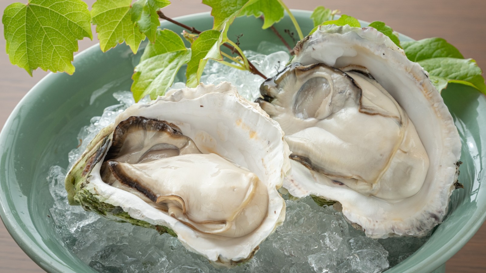 【夏限定】日本海直送「岩牡蠣」 食べ比べプラン