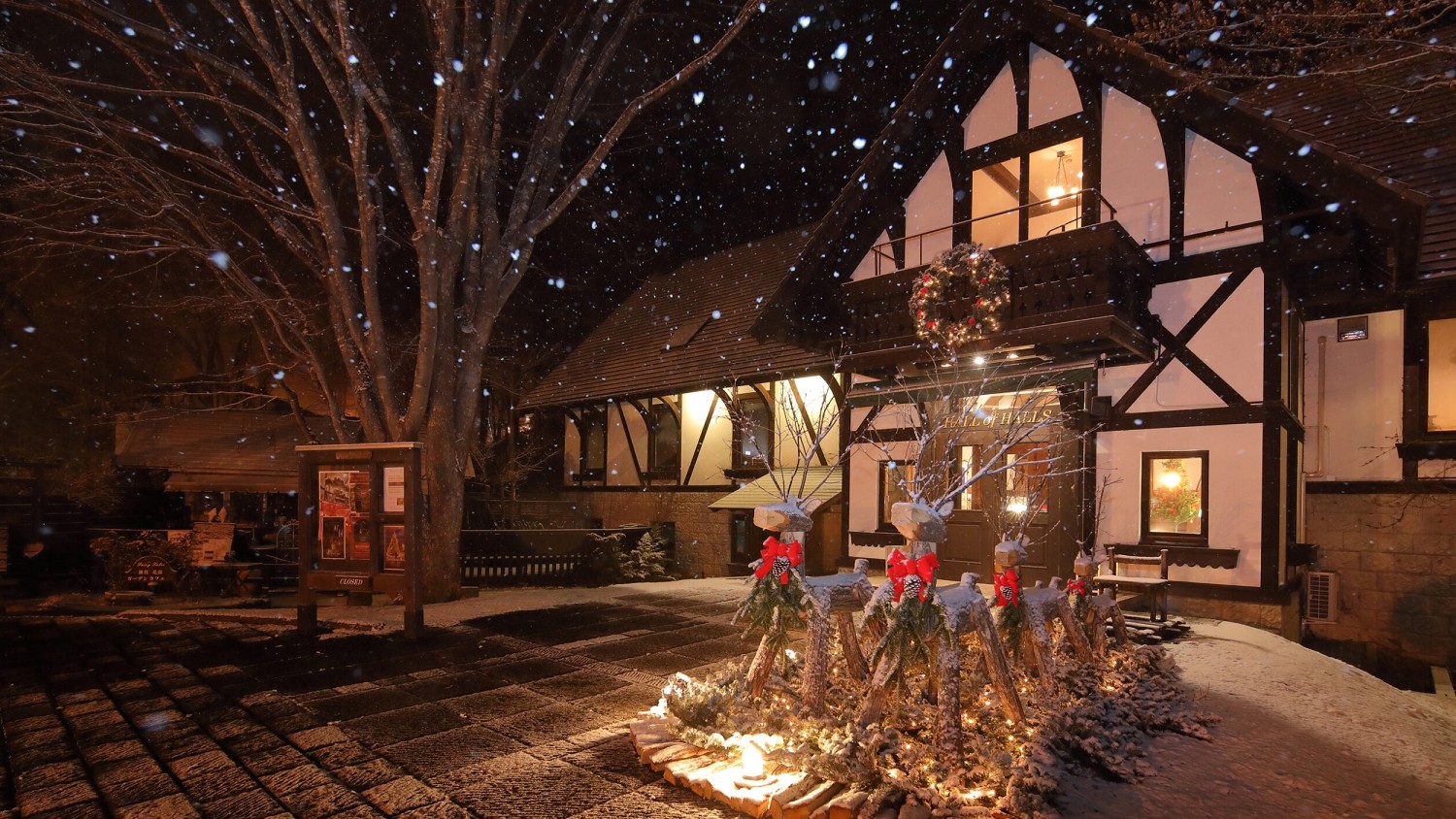 【12月13日(土)14日(日)】《初開催》「クリスマスマルシェin MOEGINOMURA」