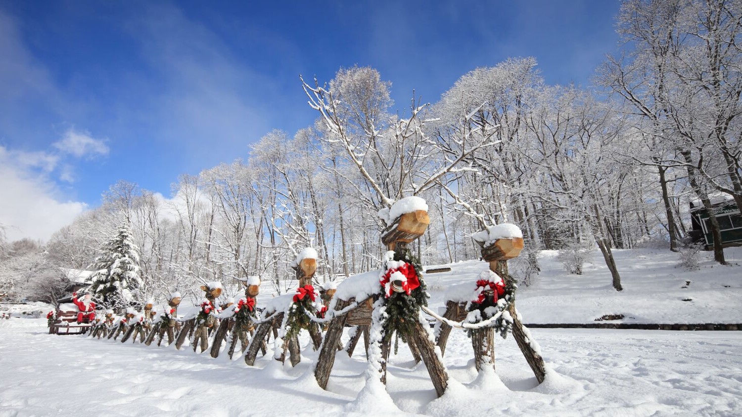萌木の村全体がクリスマスの装いに