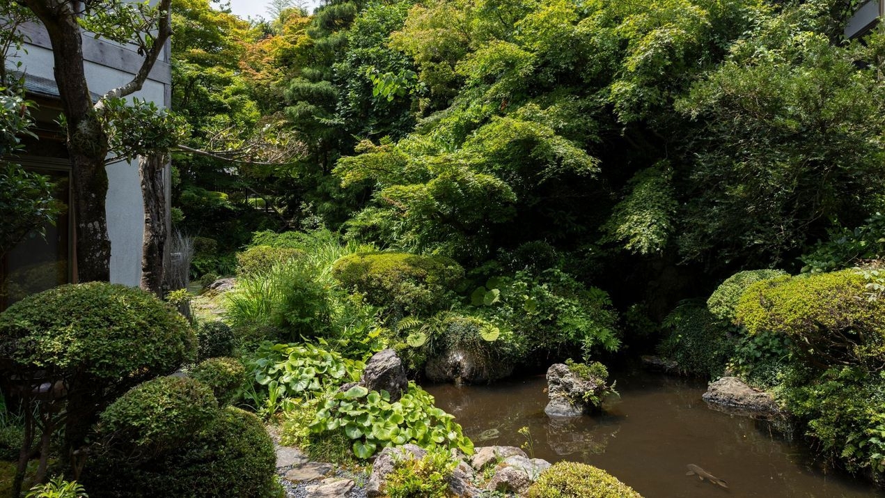 【夕食・朝食ともにお部屋食】【文化財の宿】5月リニューアル「橘客室」・おすすめ「紫苑客室」限定プラン