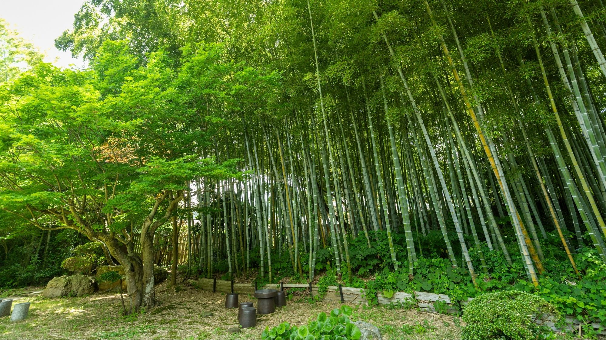 *【中庭】建物、お部屋、庭園の全てが美しい和の空間です。