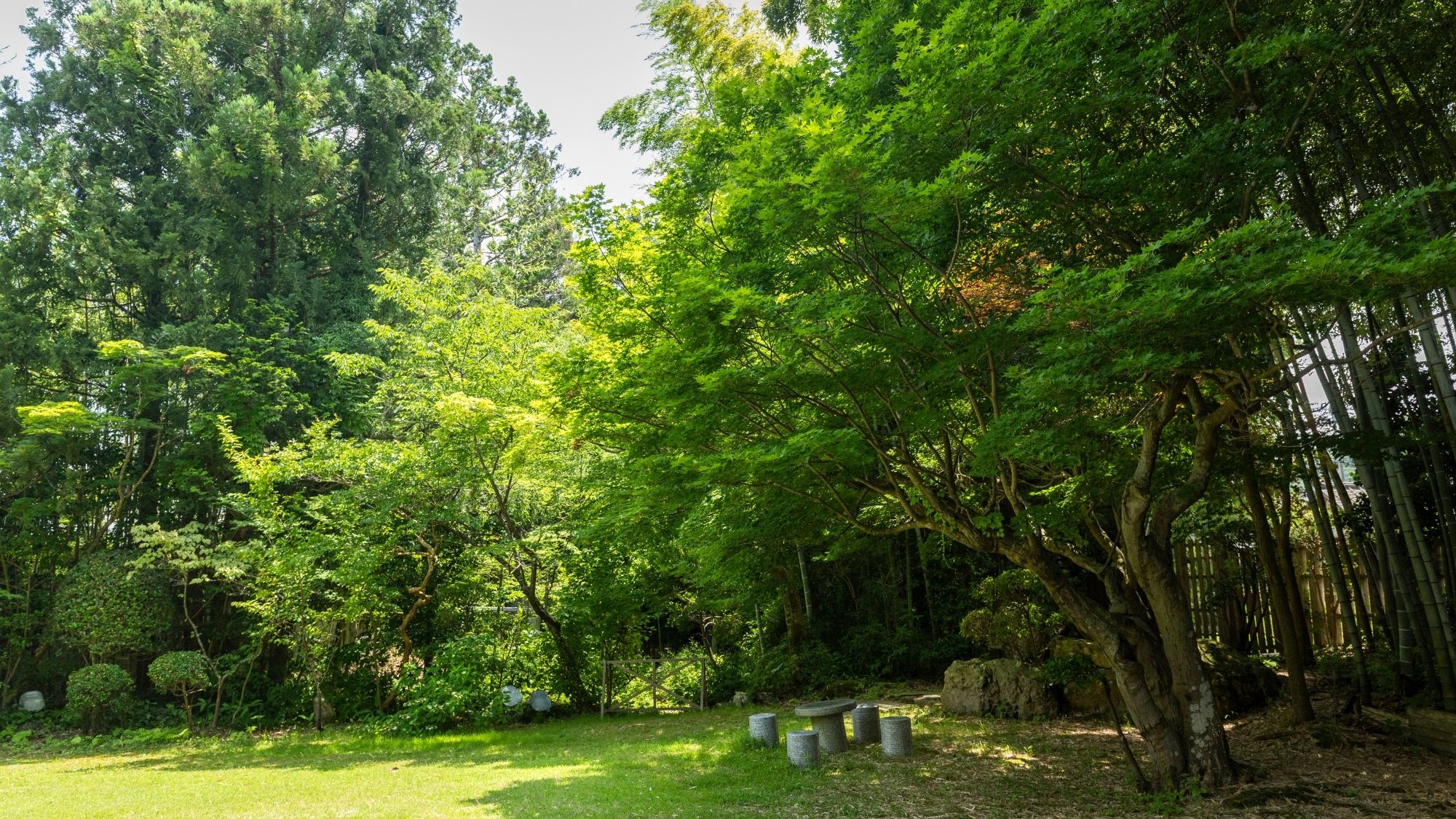 *【中庭】建物、お部屋、庭園の全てが美しい和の空間です。