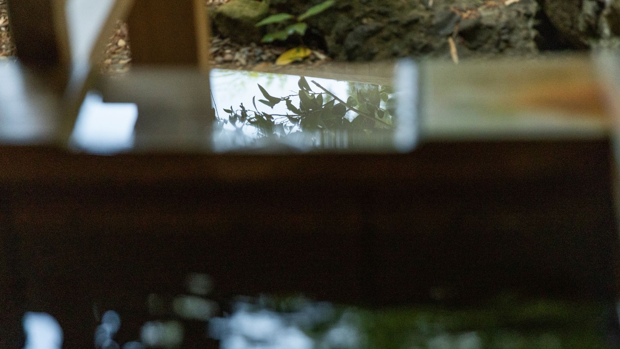 棋聖戦で対局者が泊まられた【柊（ひいらぎ）】露天風呂付がついた10畳のお部屋です。