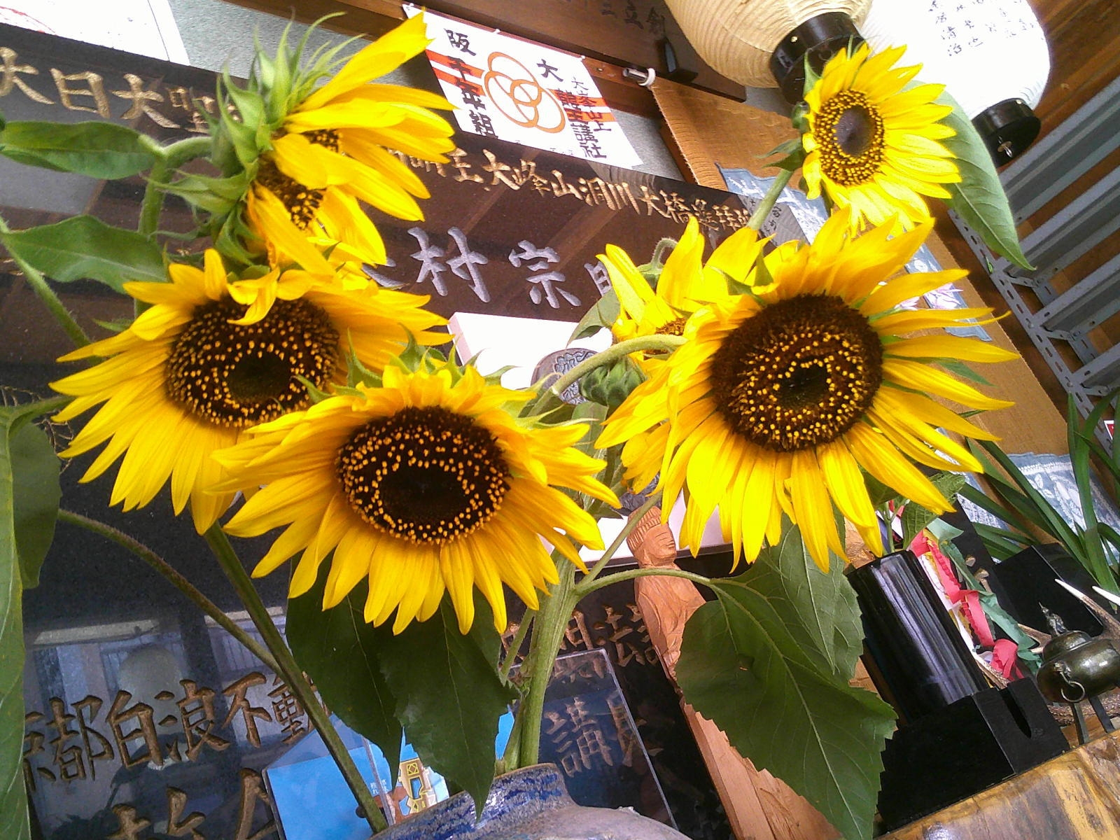 川風を感じての会席料理プラン