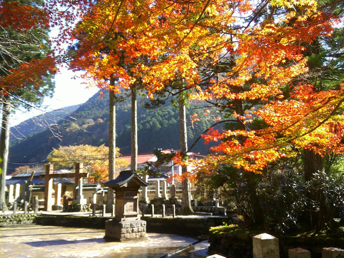 お部屋にいながら紅葉狩り、和会席プラン