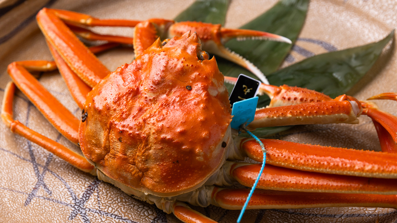 〜夫婦蟹プラン〜茹でまたは焼き・刺しで「加能ガニ」1杯を2人でシェア＋香箱蟹付き