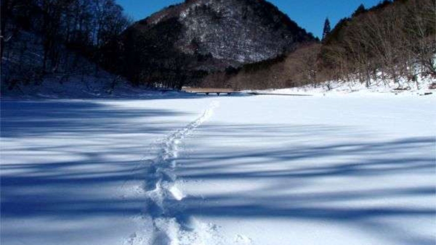 雪原と化した大沼の水面をスノーシューで歩いてみませんか？