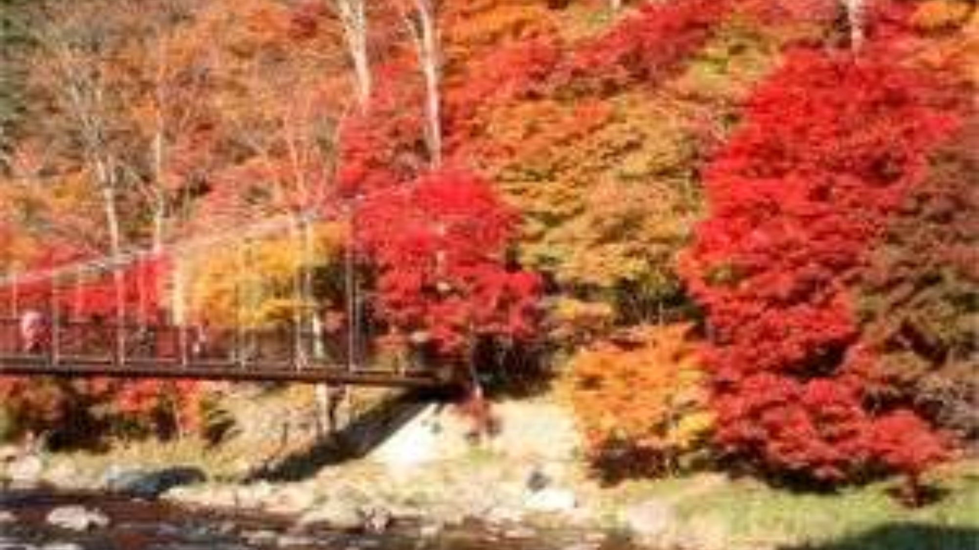 紅の吊り橋