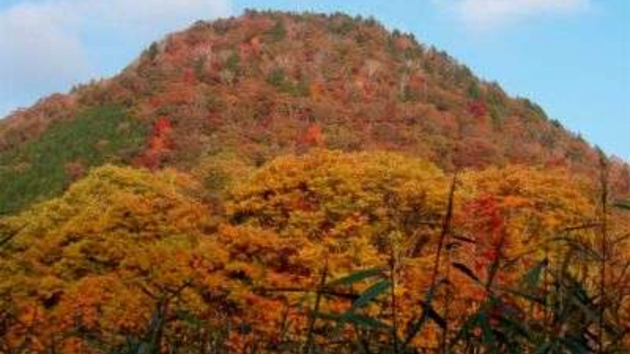 「朝ん歩」の風景　朝日を浴びる新湯富士と大沼