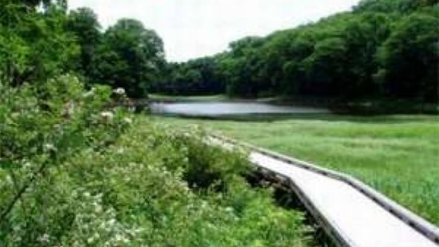大沼園地はバリアフリーの木道を備えた、人と自然にやさしい公園です。