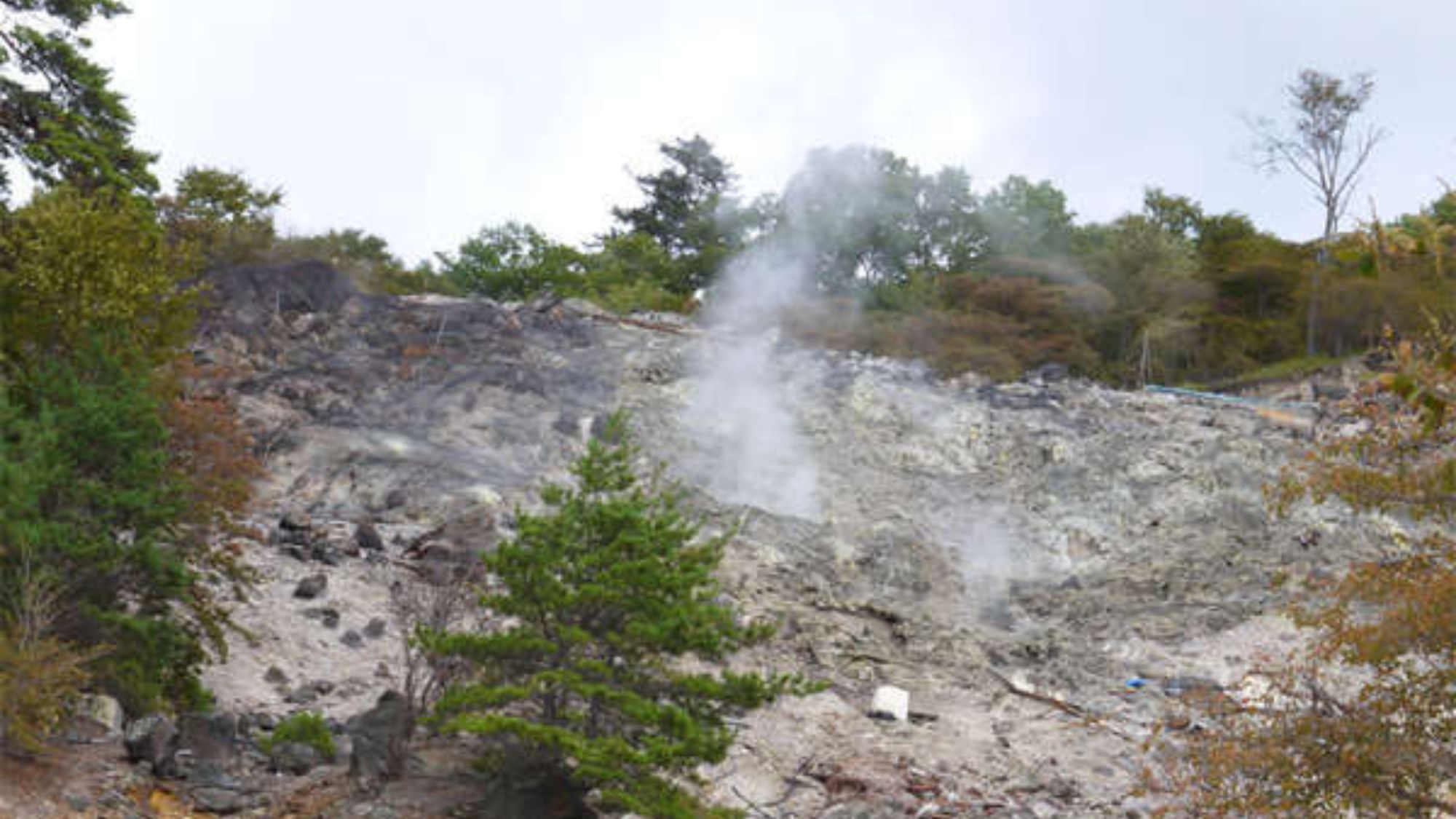 *湯気の立ち上る「硫黄山」。ここから成分の濃い良質な温泉が供給されます。