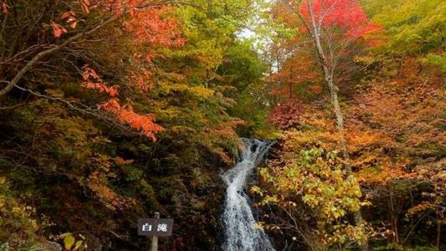 日塩もみじラインにある白滝付近の紅葉