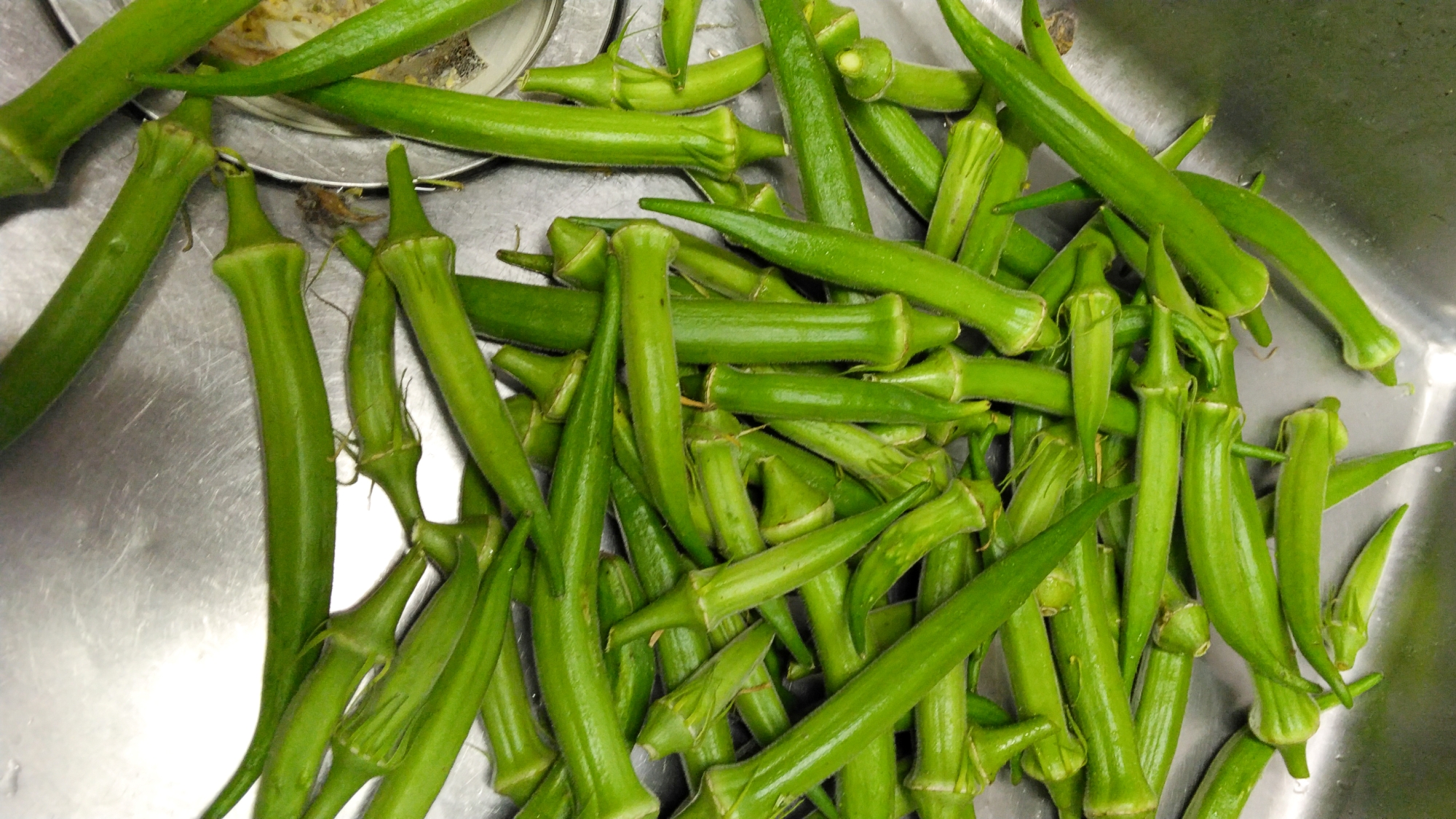 *【自家栽培野菜】採れたて旬の味覚をお楽しみください