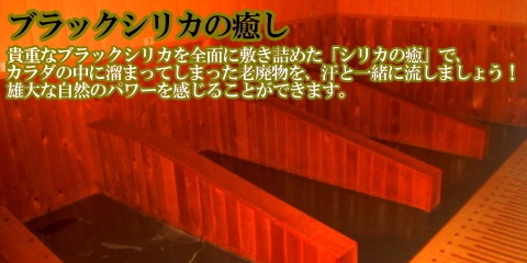 ◆【ブラックシリカ岩盤浴付】源泉掛け流し温泉とダブルでリラックス♪ ビジネス利用にも最適◎＜素泊り＞