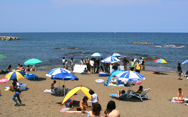 写真1
