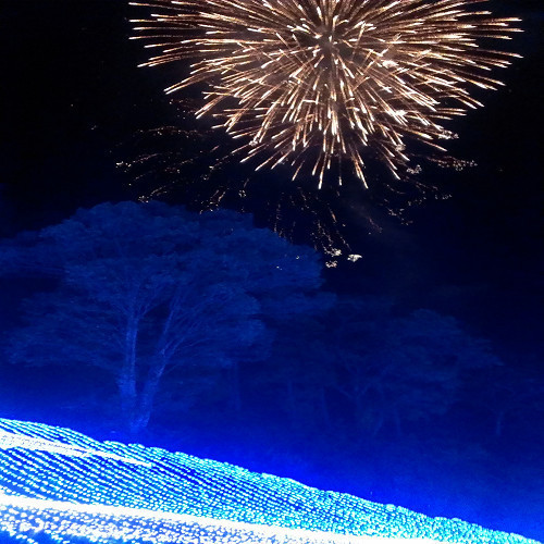 写真5
