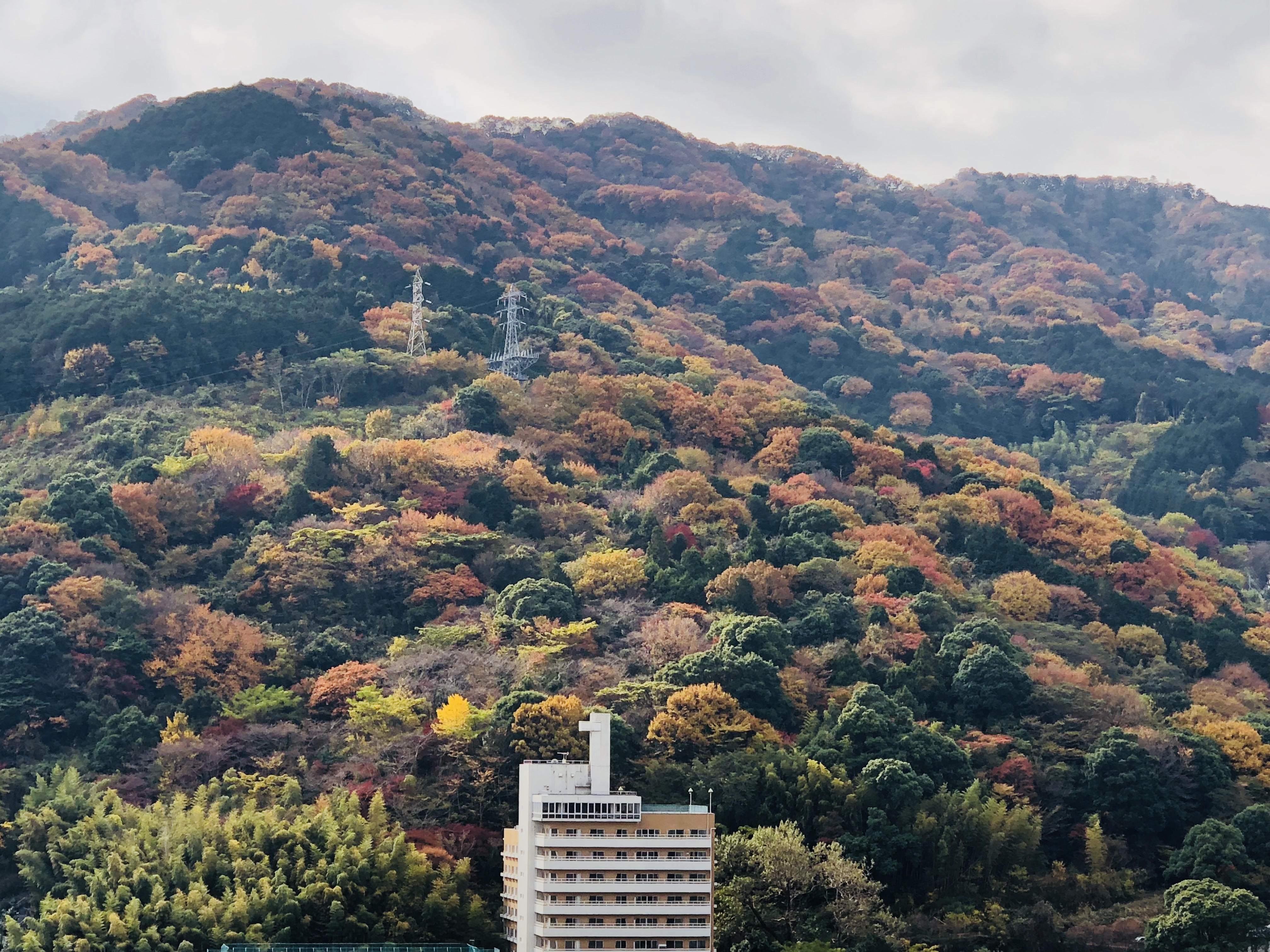 ♪檜の露天風呂付き客室３