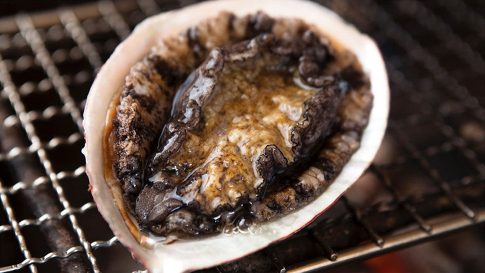 【GW 5月2日・3日・4日・5日限定】伊勢エビ、アワビ、特選和牛1品チョイス炭火焼き会席DXプラン