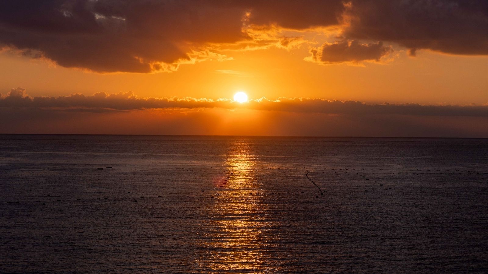 【景色】お部屋、露天風呂、レストランからは絶景のオーシャンビューをご覧いただけます