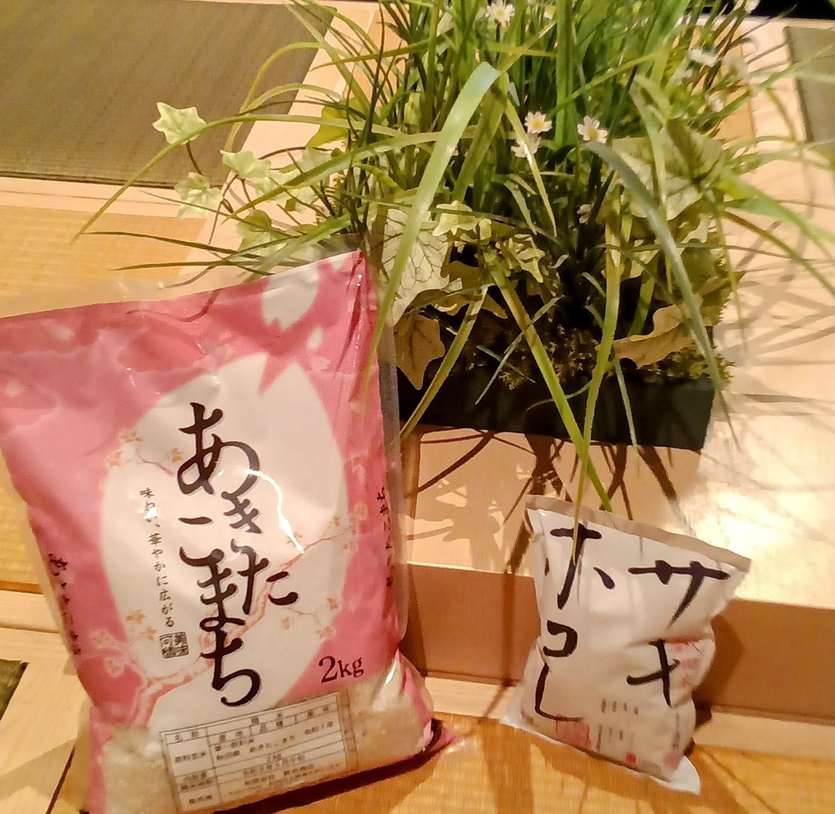 【秋田得旅】素泊まり★契約農家の秋田県産あきたこまち２キロ付き（今だけサキホコレ付！）