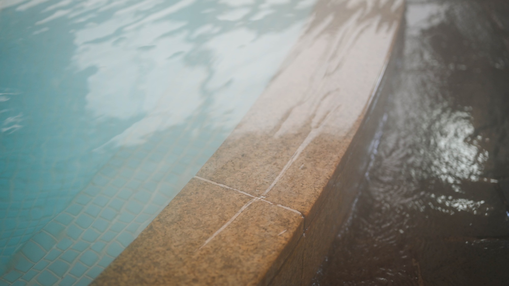 【ペットと同室宿泊（素泊まり）】小〜超大型室内犬可能（犬種不問）ワンちゃんと温泉旅行