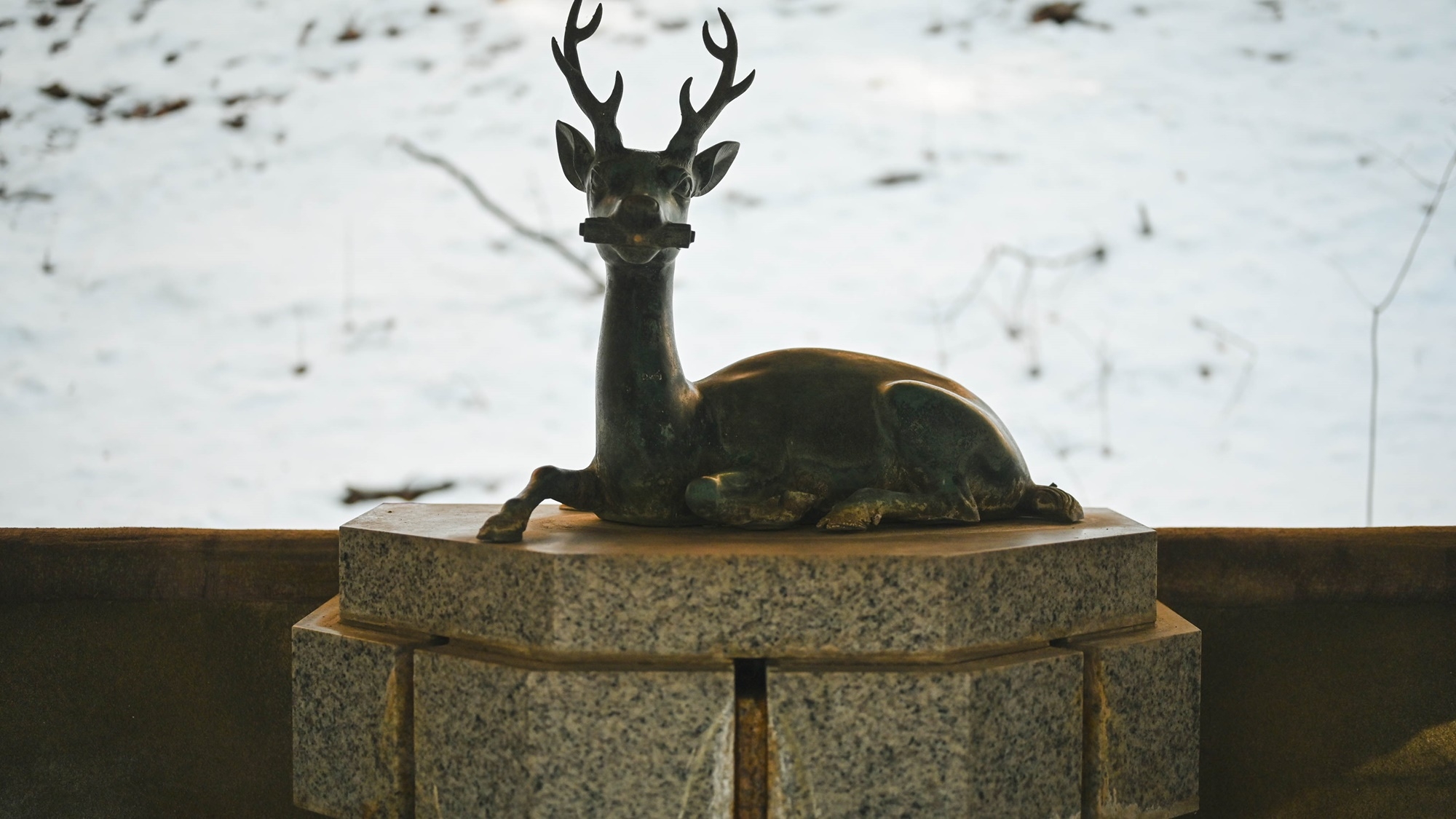 【温泉旅館の朝食付（夕食なし）】信州塩田産のお米を使用したほっとあたたかい朝ごはん［会場食］