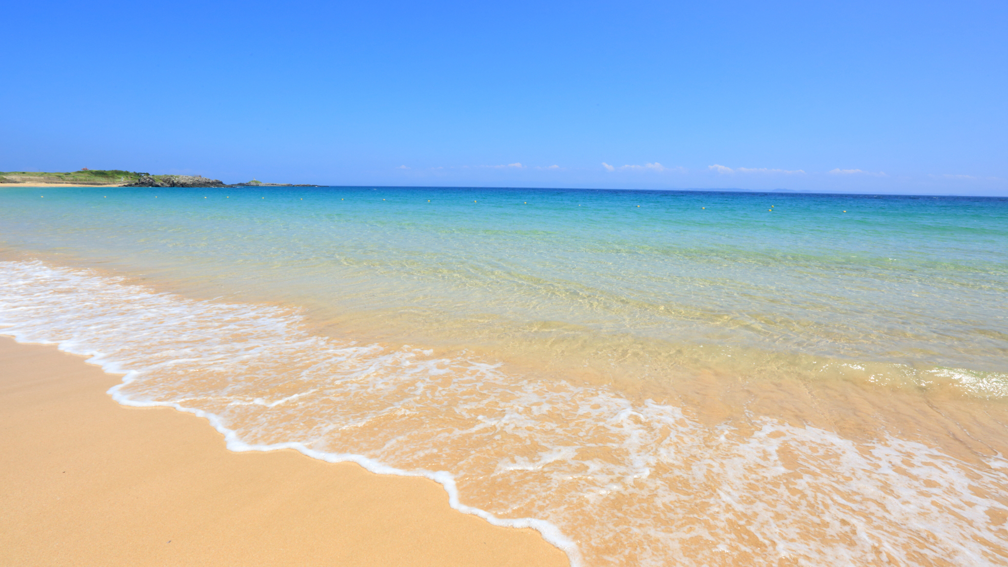 *【錦浜海水浴場】白い砂浜とエメラルドグリーンが素敵♪小さい綺麗な貝殻がたくさん見つけられ人気！