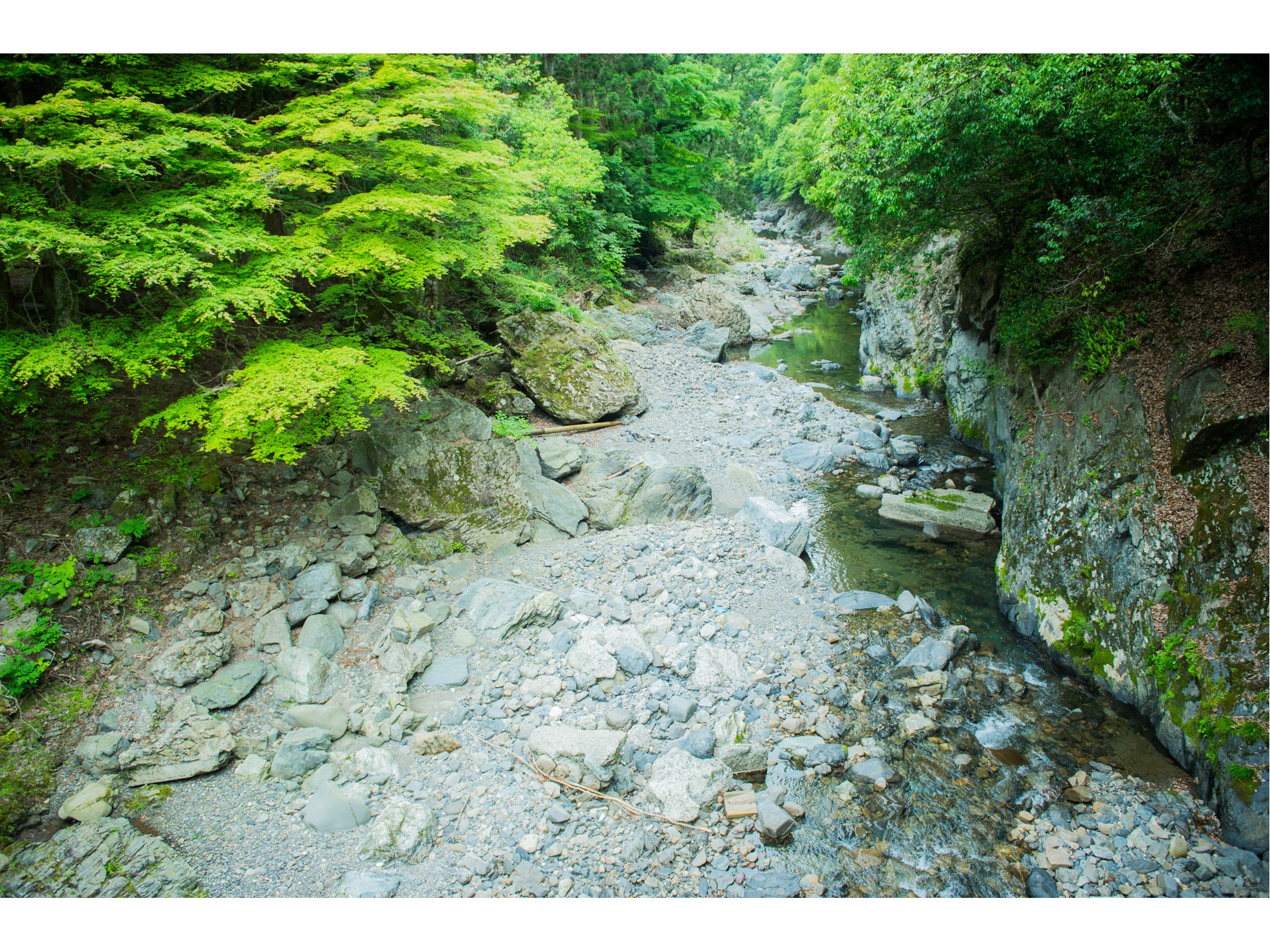 もみぢ家別館 川の庵(眺望・庭園)